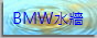 2-WW-BMW